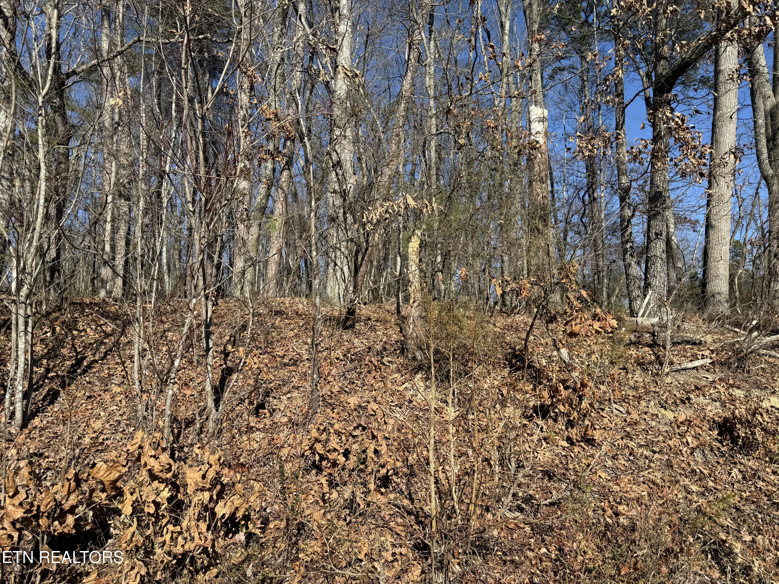 0 Cates Road Rockwood TN 37854