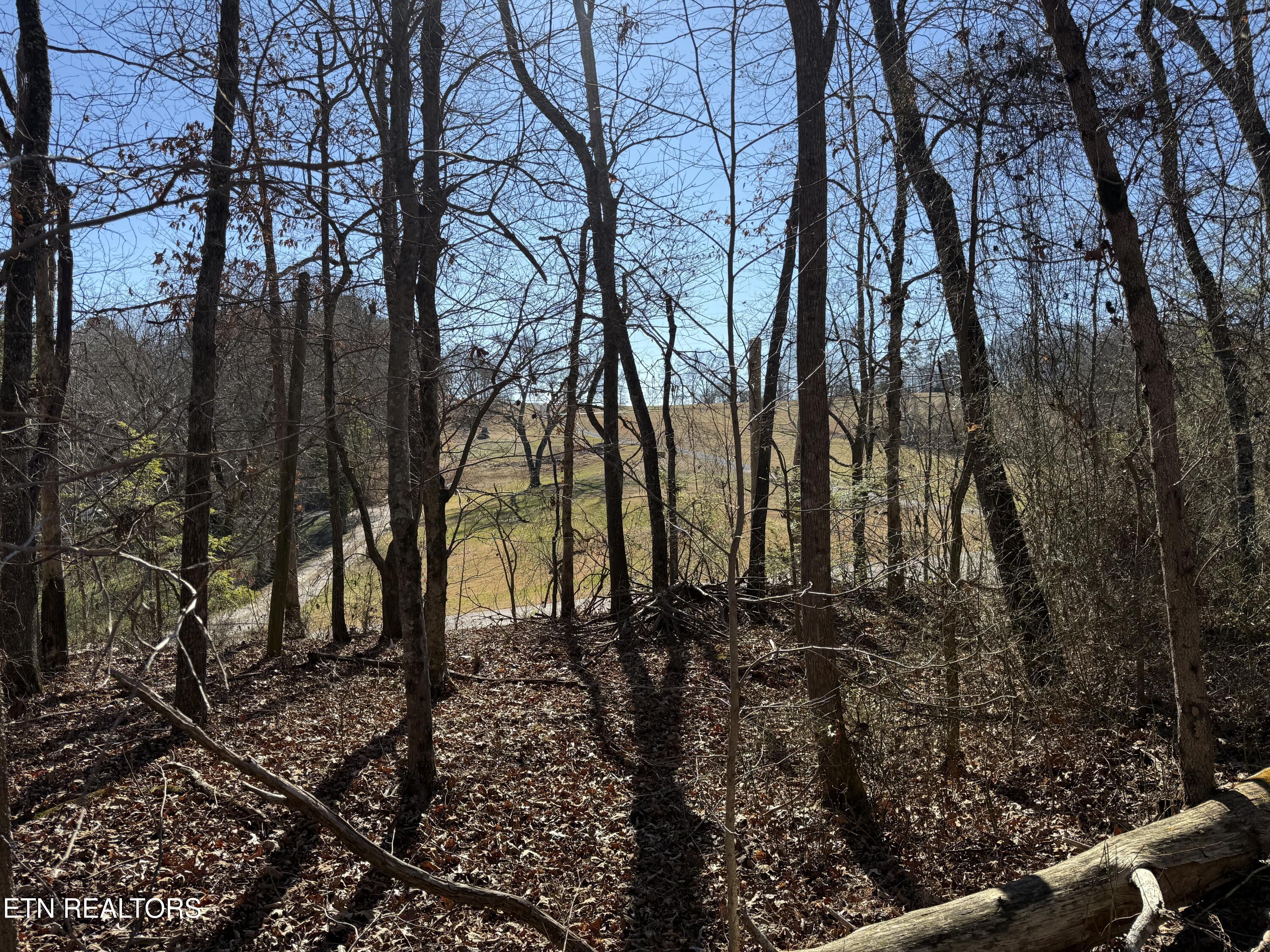 0 Cates Road Rockwood TN 37854