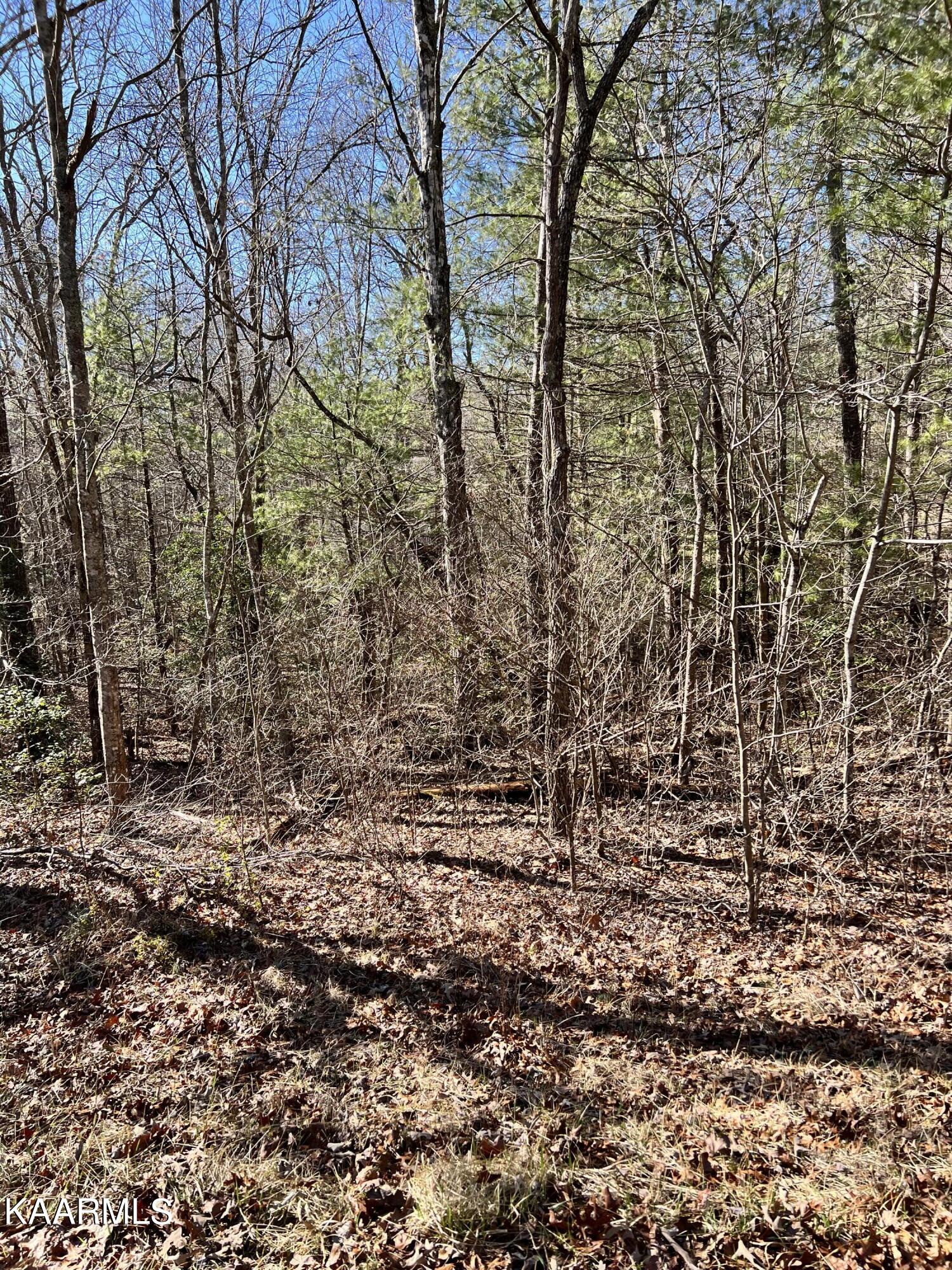 118 Natchez Circle Crossville TN 38558