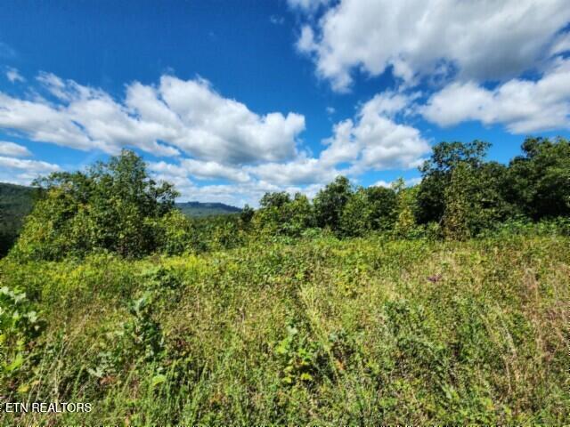 14.34AC Tomahawk Road Jamestown TN 38556