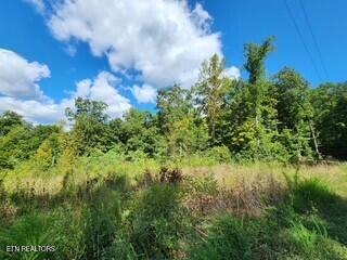 14.34AC Tomahawk Road Jamestown TN 38556