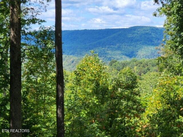 14.34AC Tomahawk Road Jamestown TN 38556