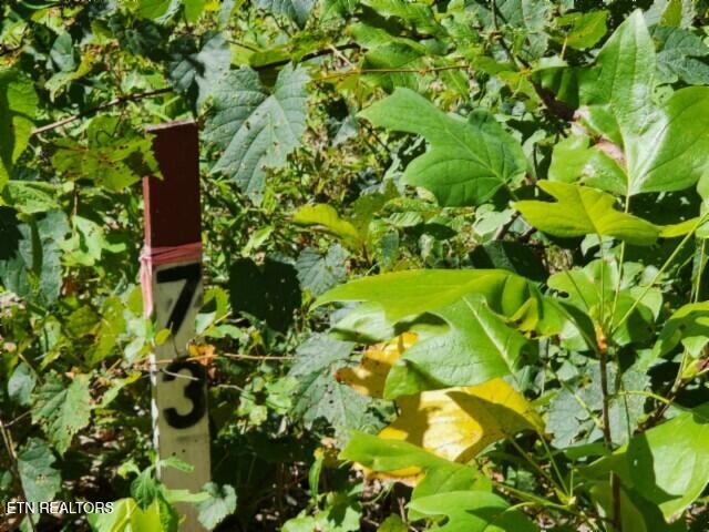 14.34AC Tomahawk Road Jamestown TN 38556