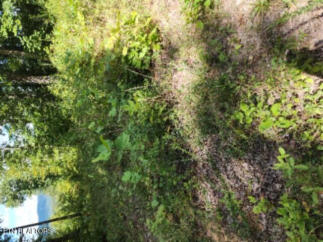 14.34AC Tomahawk Road Jamestown TN 38556