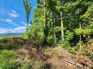 14.34AC Tomahawk Road Jamestown TN 38556