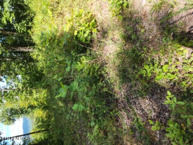 14.34AC Tomahawk Road Jamestown TN 38556