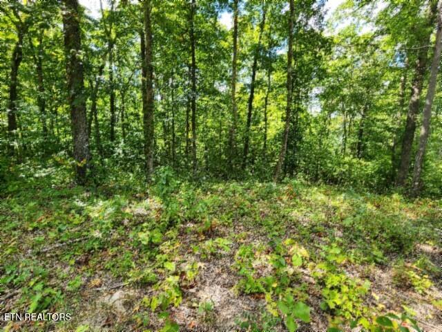 14.34AC Tomahawk Road Jamestown TN 38556