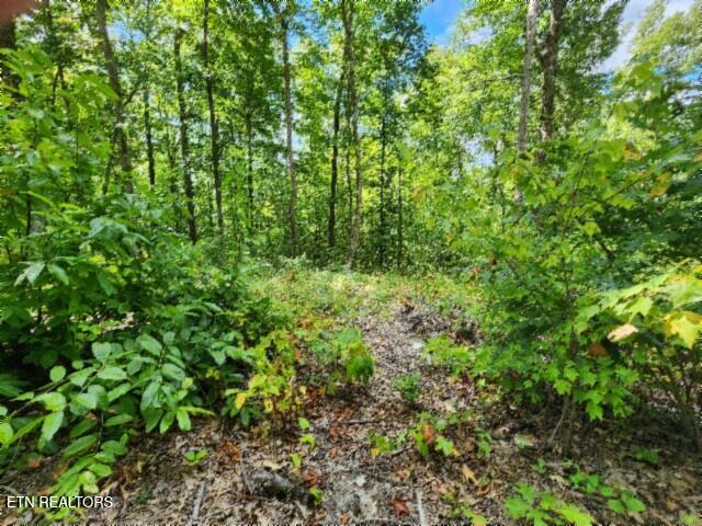 14.34AC Tomahawk Road Jamestown TN 38556