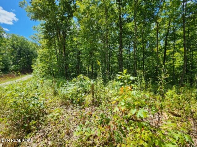 14.34AC Tomahawk Road Jamestown TN 38556