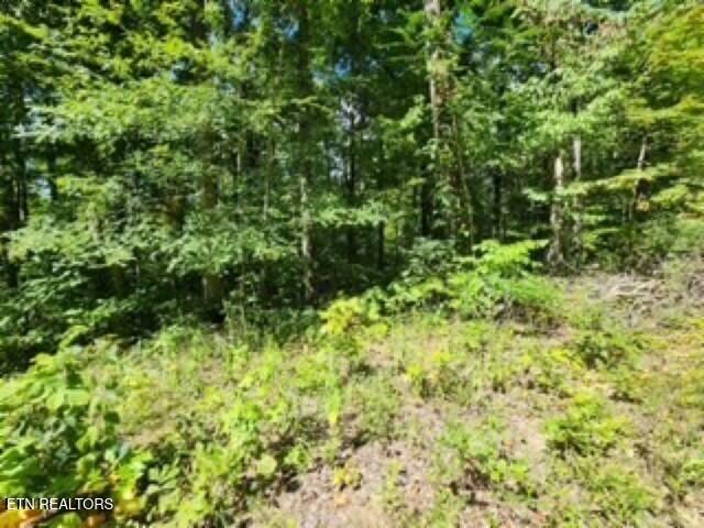 14.34AC Tomahawk Road Jamestown TN 38556
