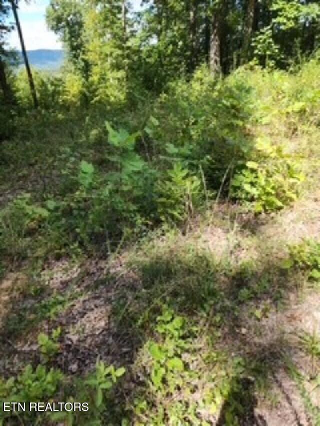 14.34AC Tomahawk Road Jamestown TN 38556