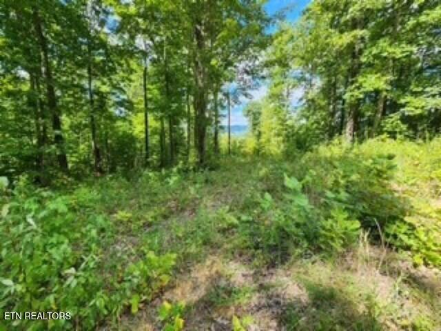 14.34AC Tomahawk Road Jamestown TN 38556