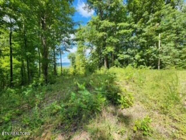 14.34AC Tomahawk Road Jamestown TN 38556