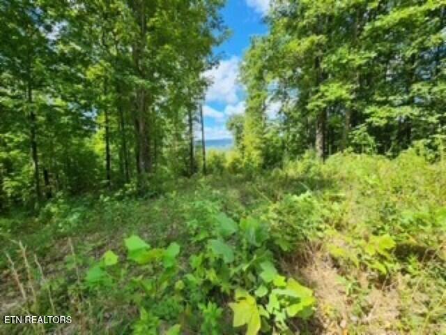 14.34AC Tomahawk Road Jamestown TN 38556