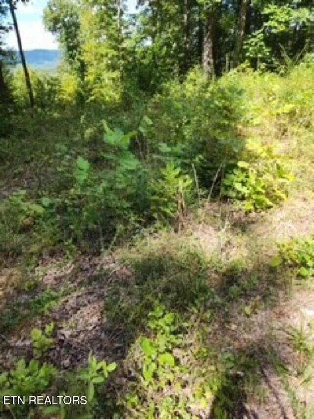 14.34AC Tomahawk Road Jamestown TN 38556