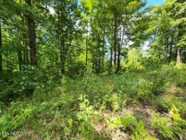 14.34AC Tomahawk Road Jamestown TN 38556