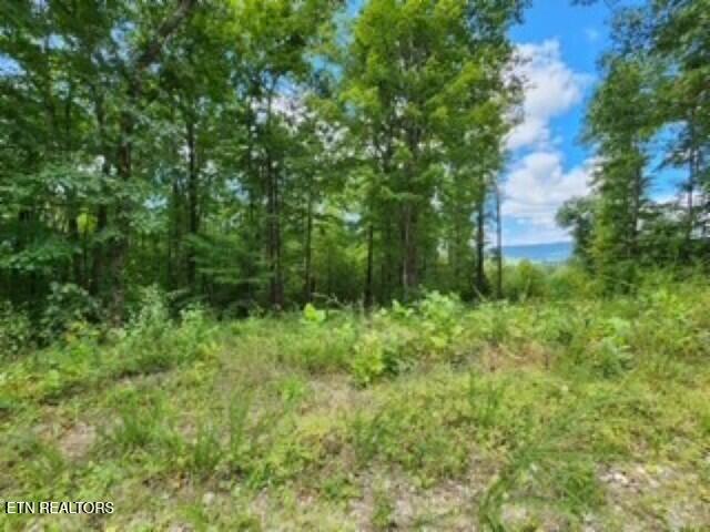 14.34AC Tomahawk Road Jamestown TN 38556