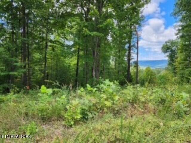 14.34AC Tomahawk Road Jamestown TN 38556
