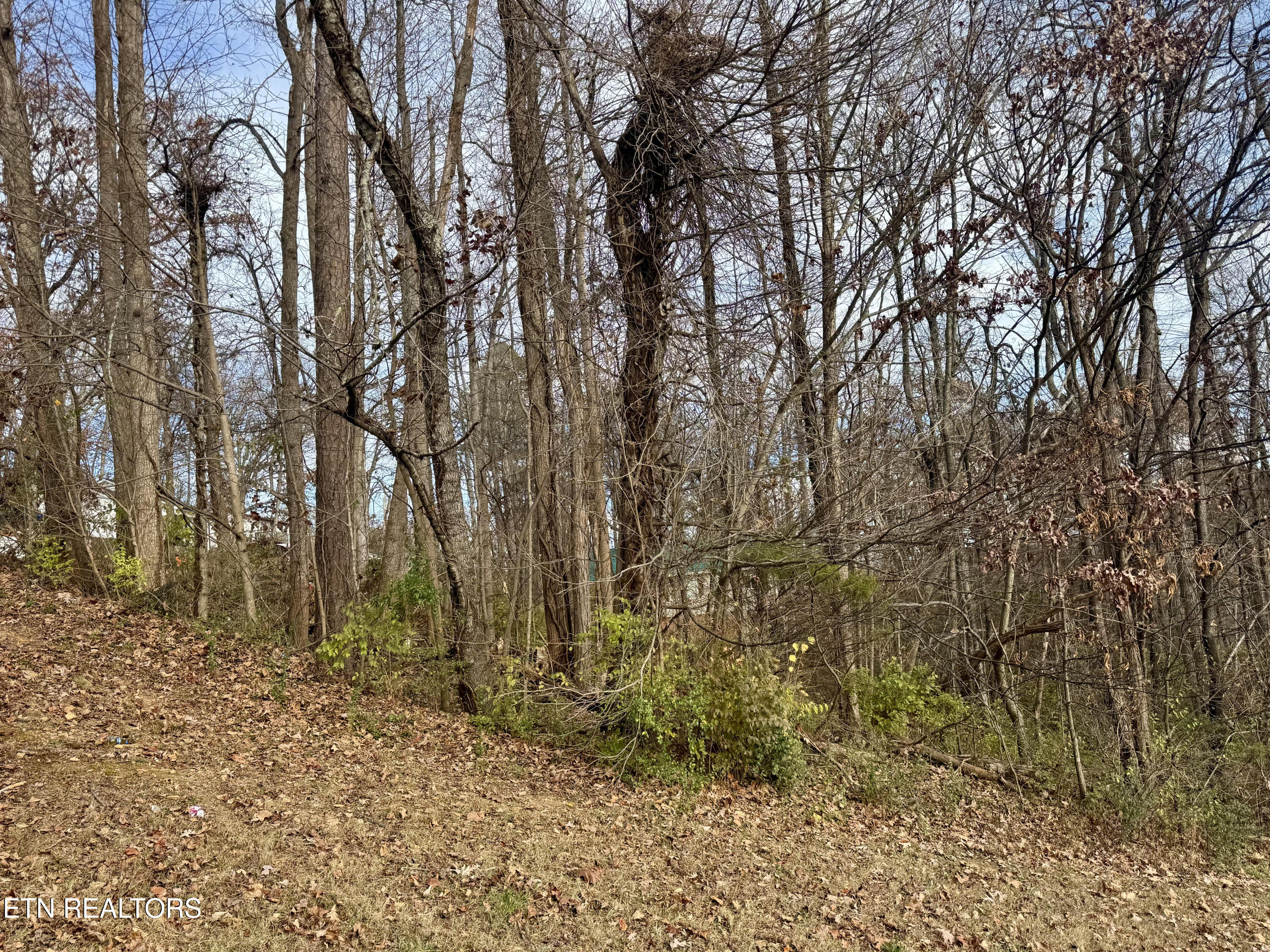 271 Sequoyah Drive Morristown TN 37813