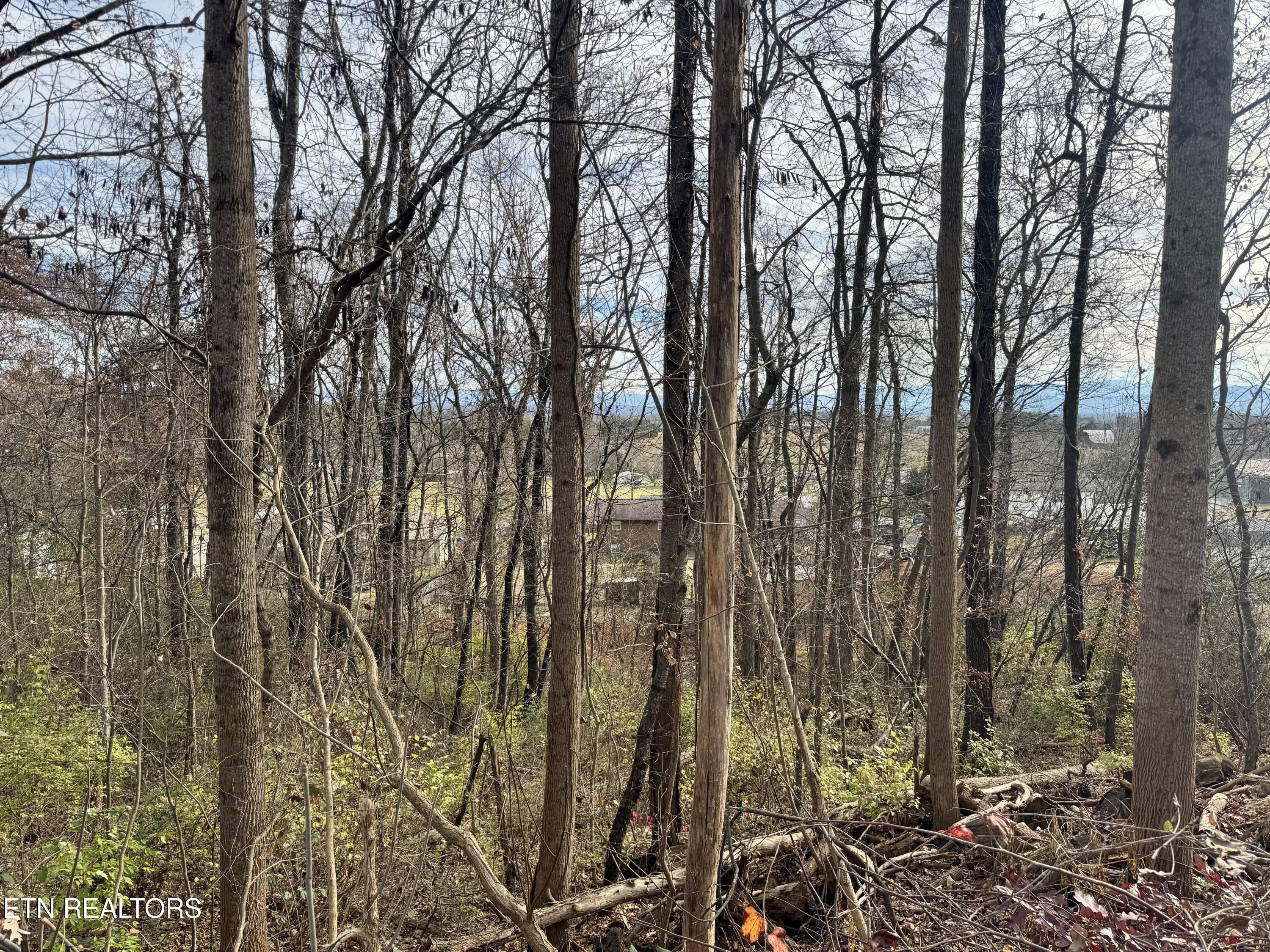 271 Sequoyah Drive Morristown TN 37813
