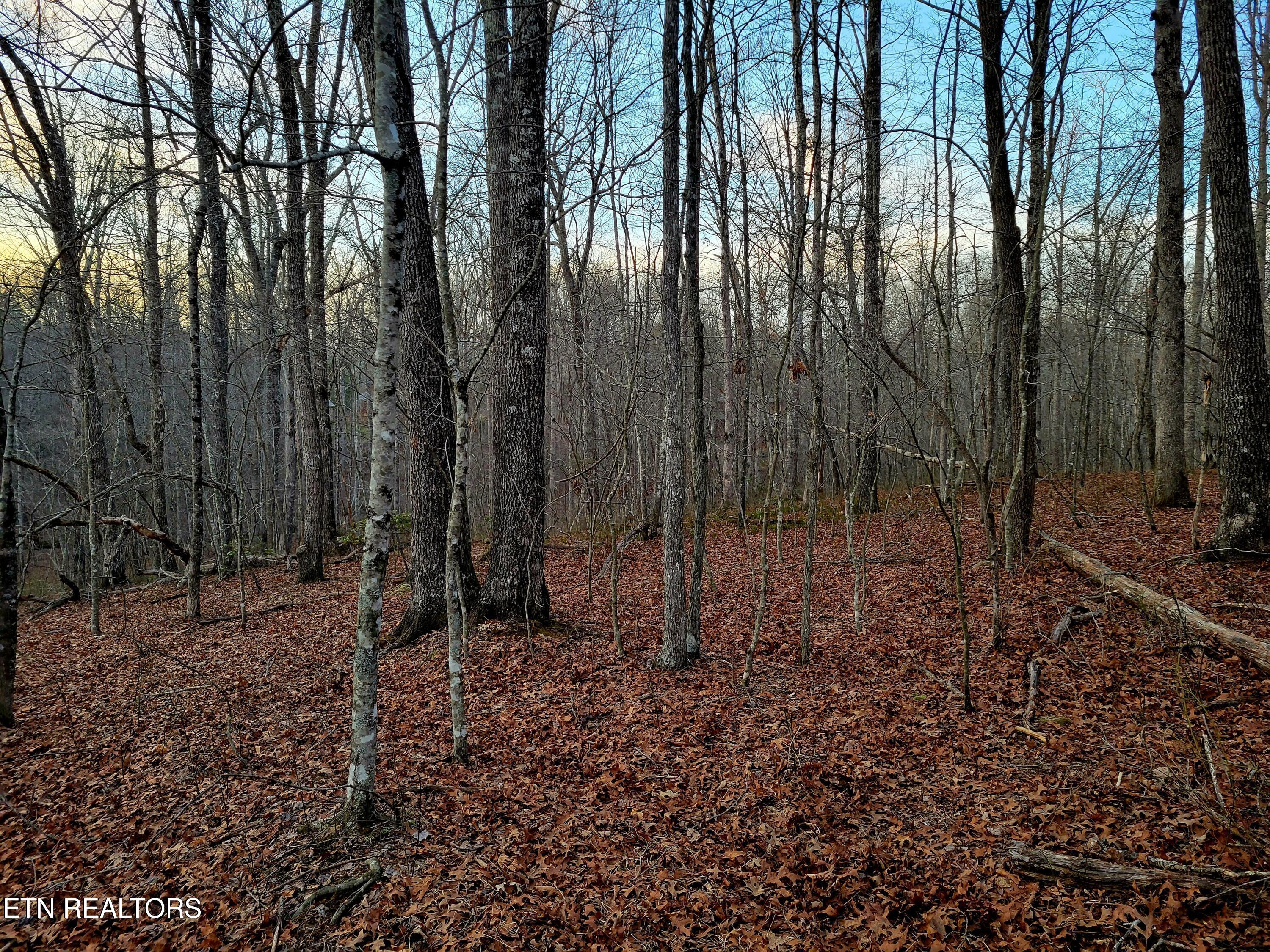 14 Creek Place Monterey TN 38574