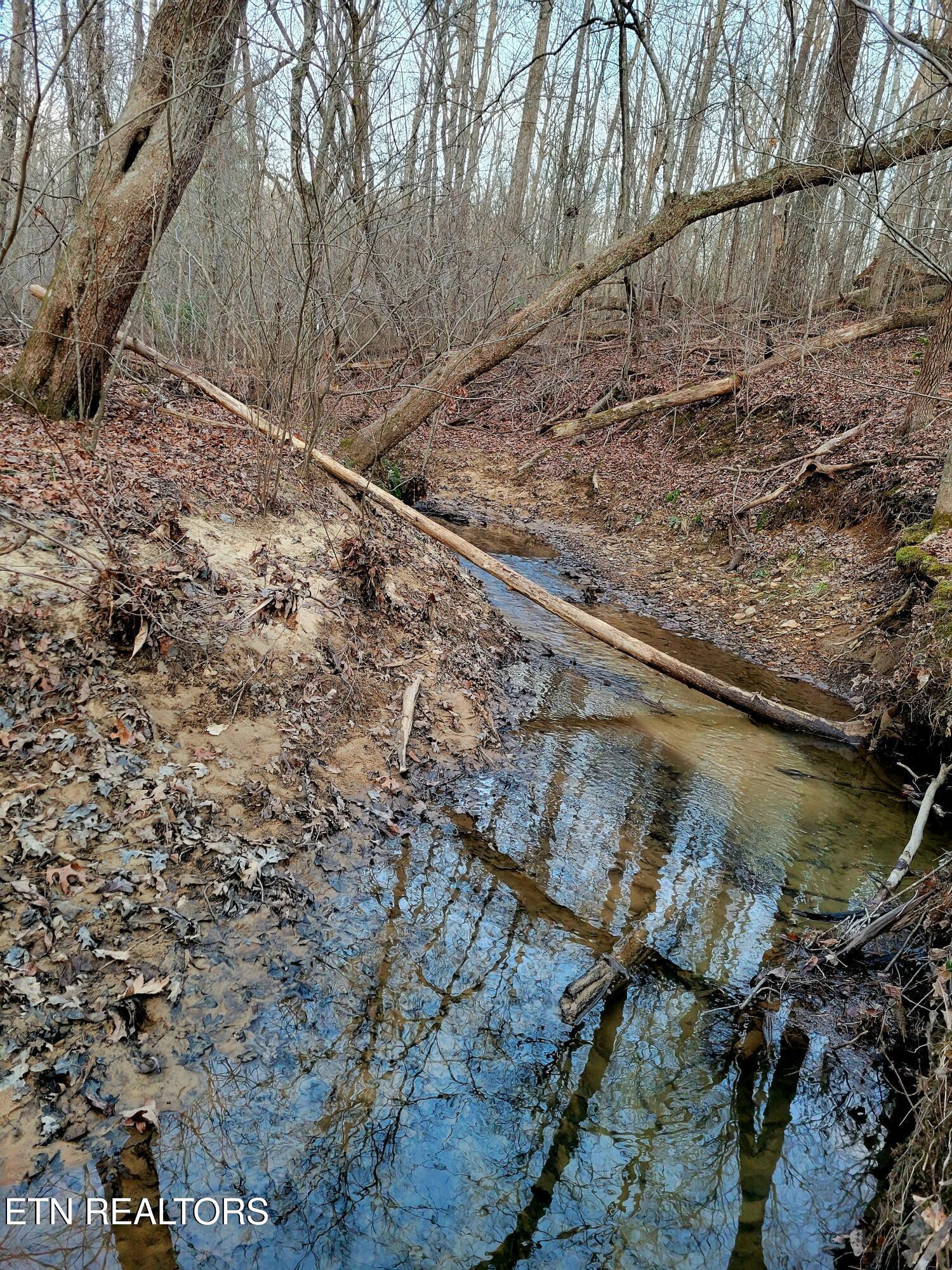 14 Creek Place Monterey TN 38574
