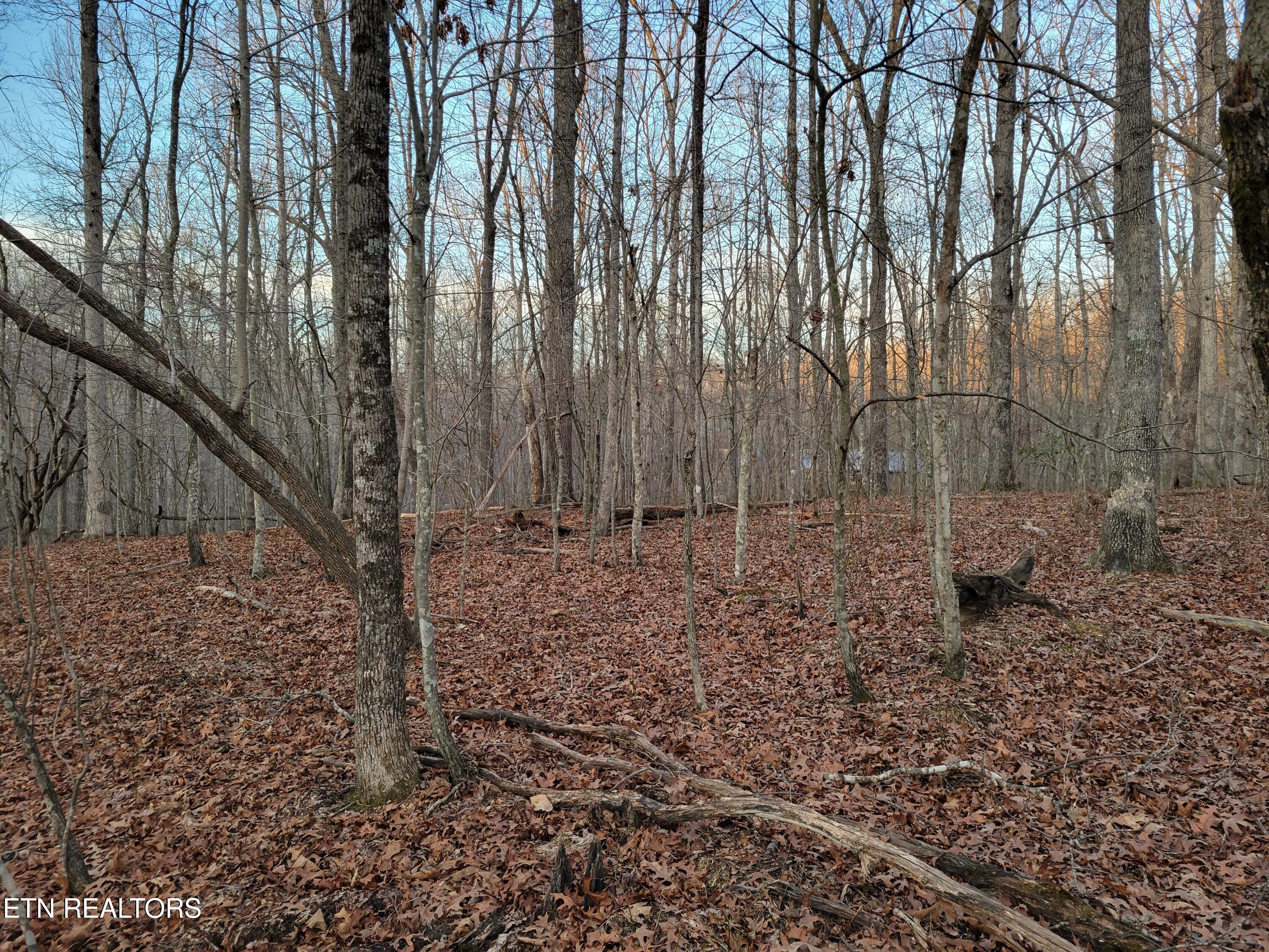 14 Creek Place Monterey TN 38574