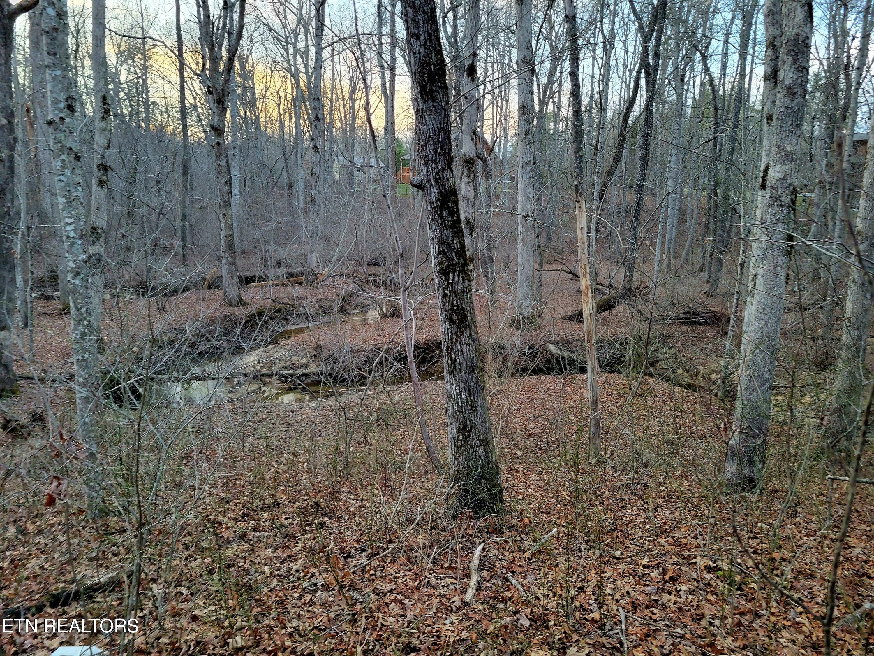 14 Creek Place Monterey TN 38574