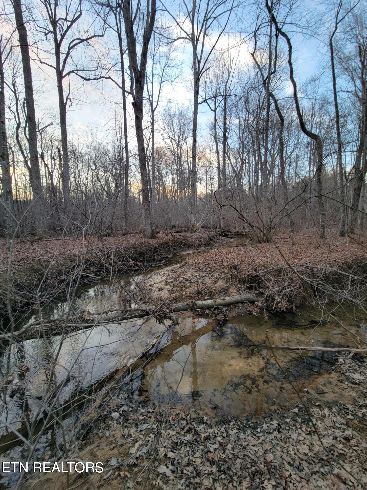 14 Creek Place Monterey TN 38574