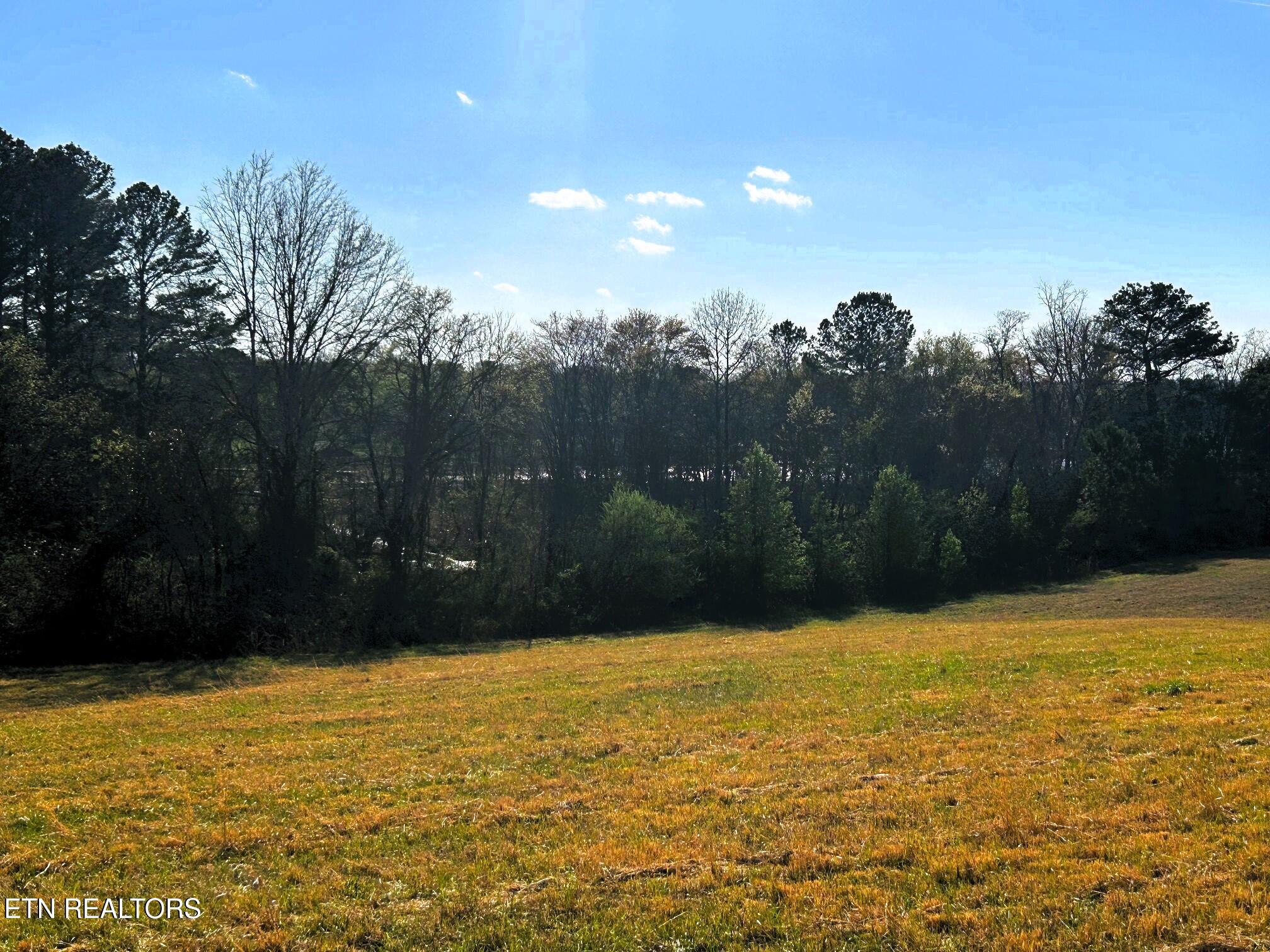 Lot 3 Lamontville Road Decatur TN 37322