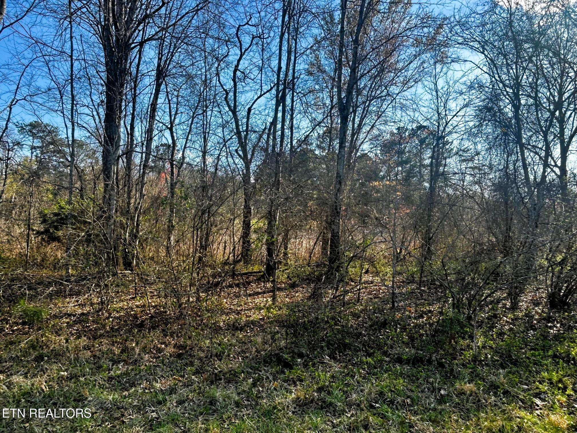 Lot 3 Lamontville Road Decatur TN 37322