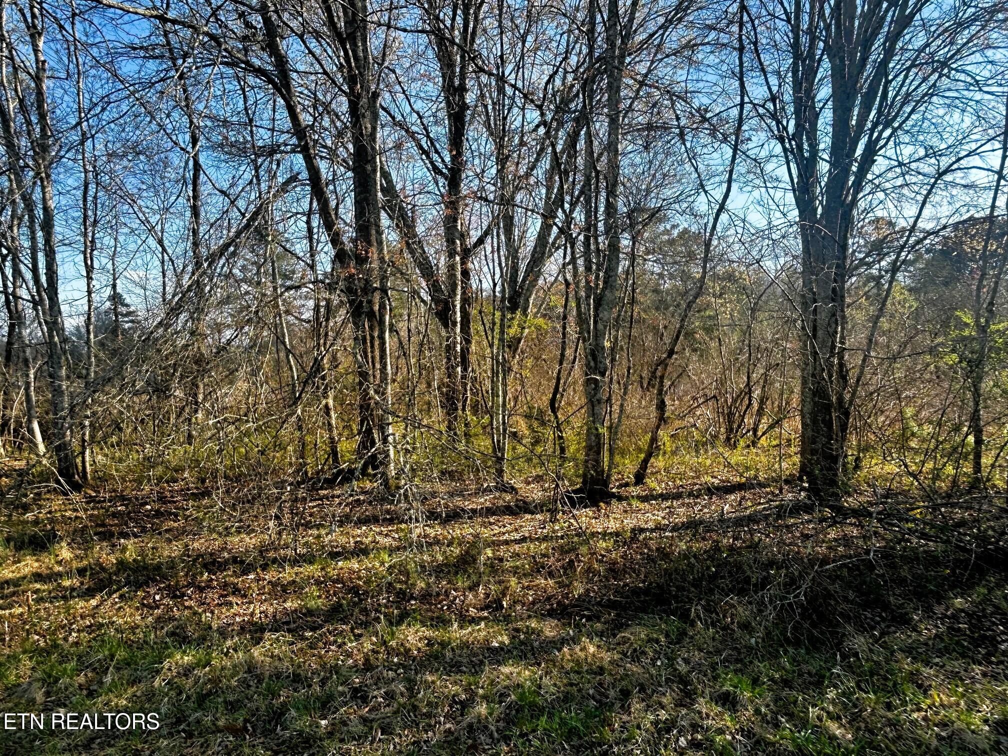 Lot 3 Lamontville Road Decatur TN 37322