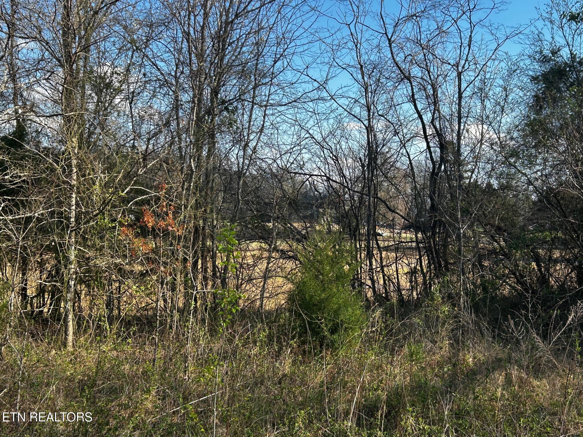 Lot 3 Lamontville Road Decatur TN 37322