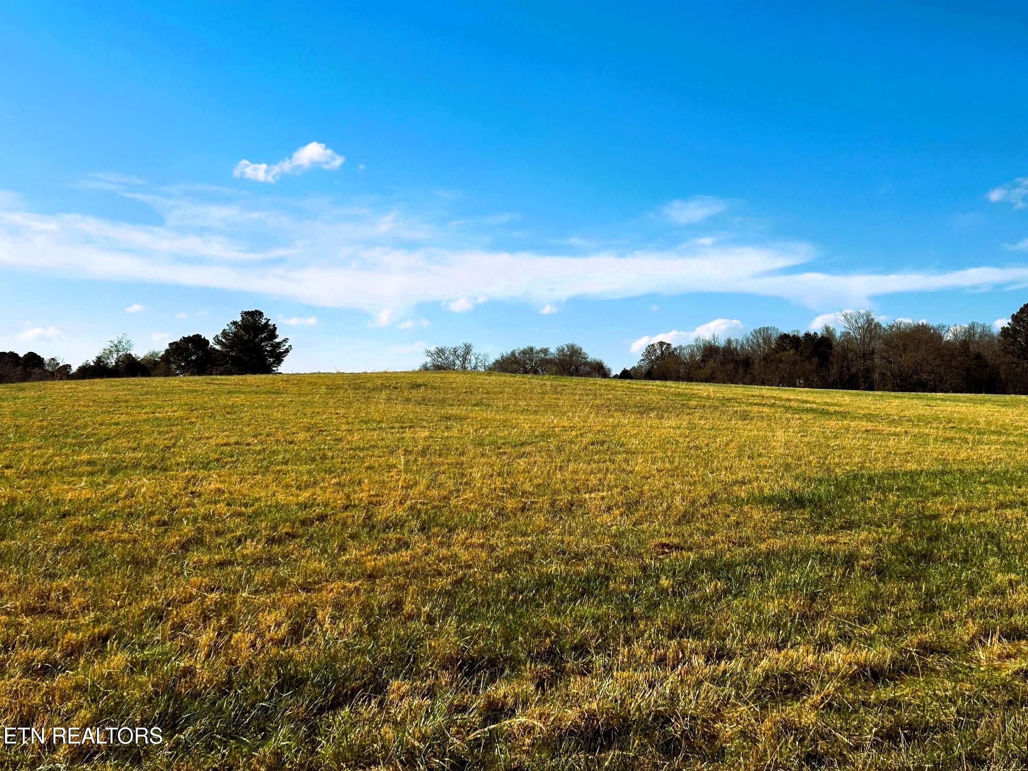 Lot 3 Lamontville Road Decatur TN 37322