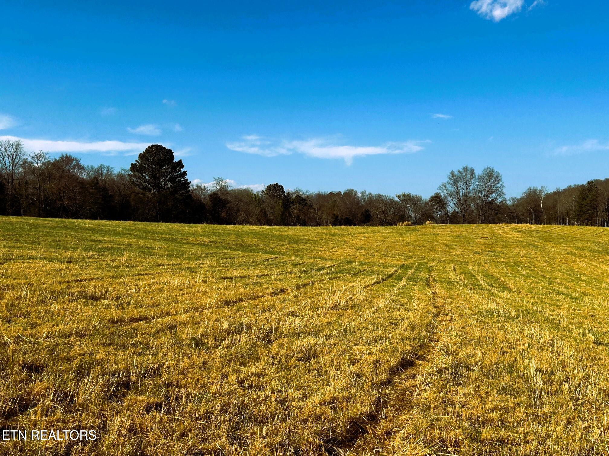 Lot 3 Lamontville Road Decatur TN 37322