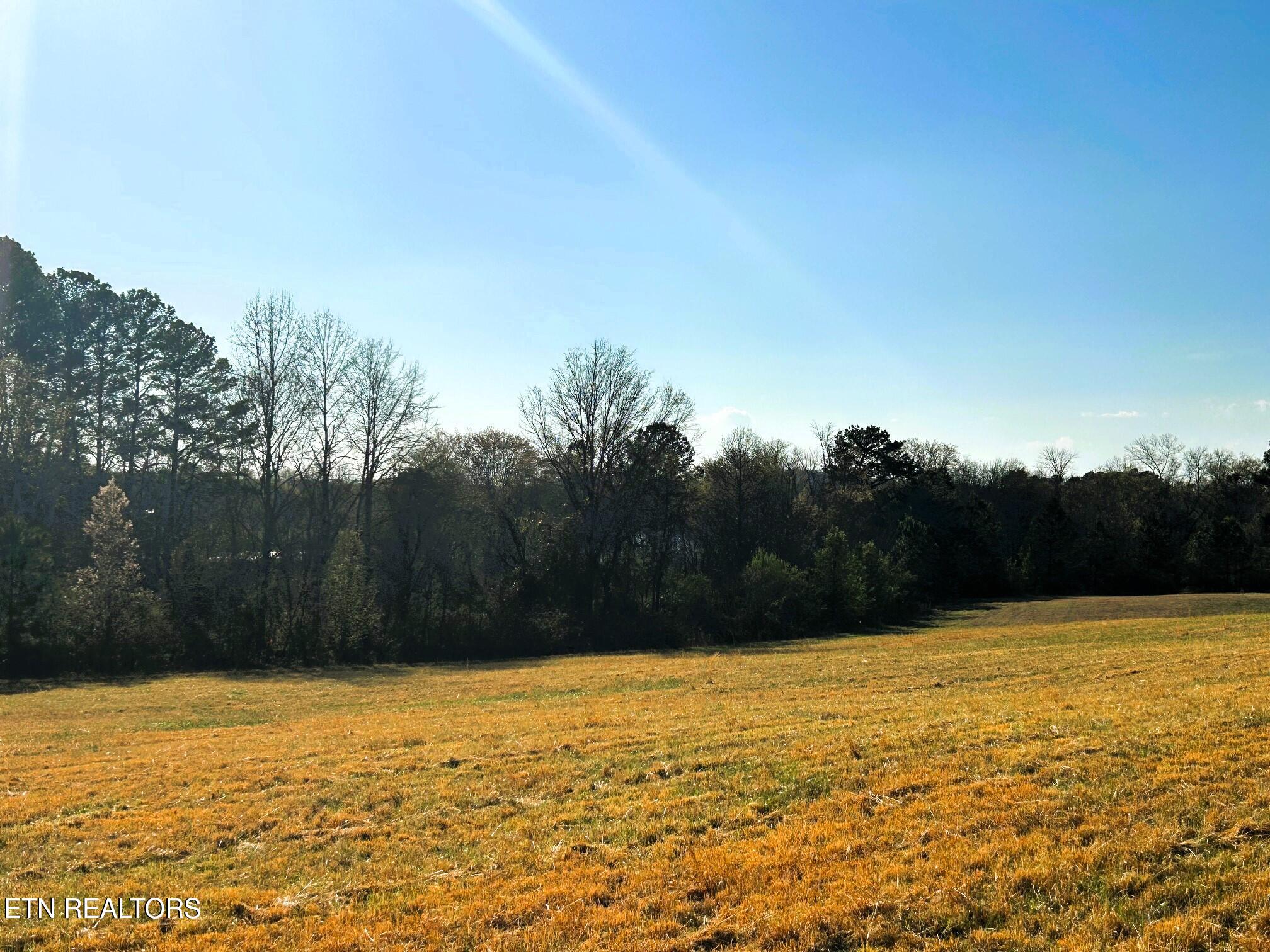 Lot 3 Lamontville Road Decatur TN 37322