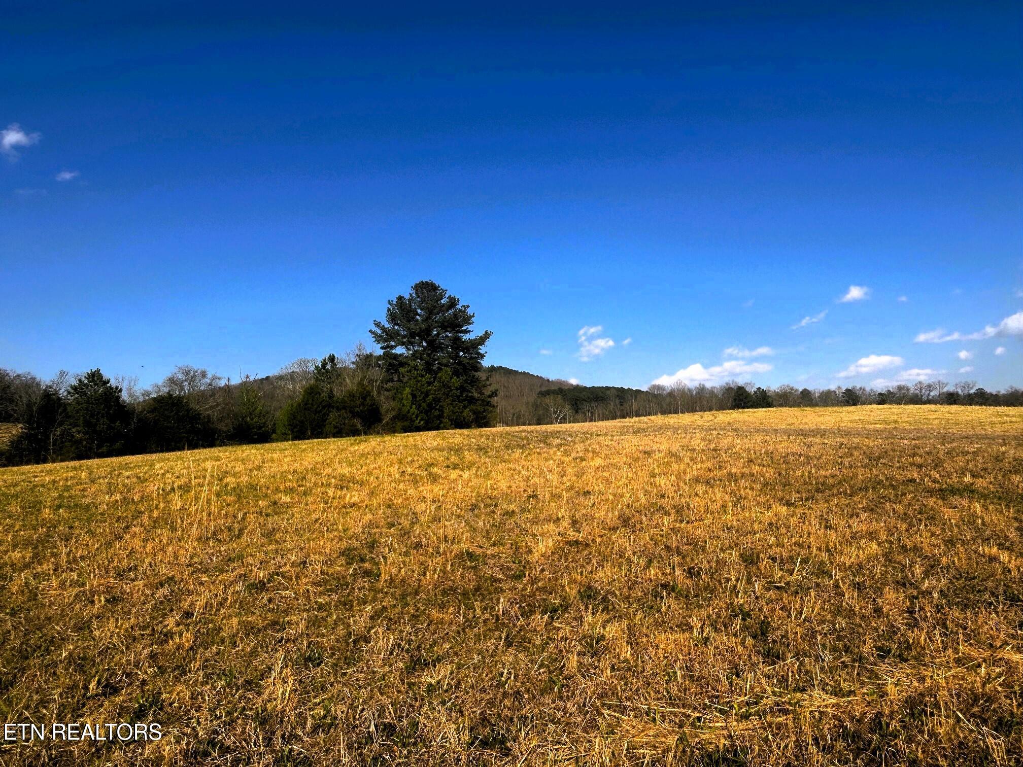 Lot 3 Lamontville Road Decatur TN 37322