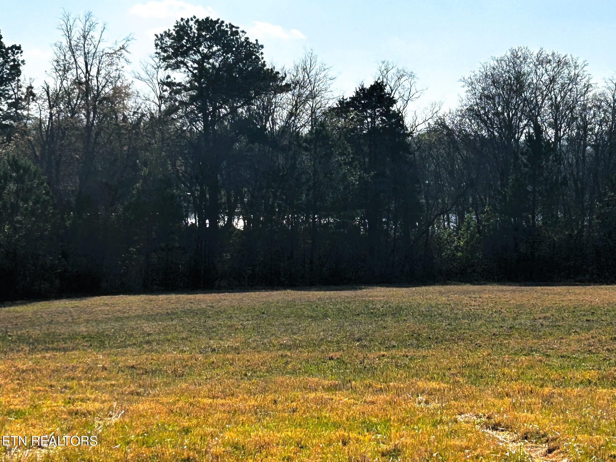 Lot 3 Lamontville Road Decatur TN 37322