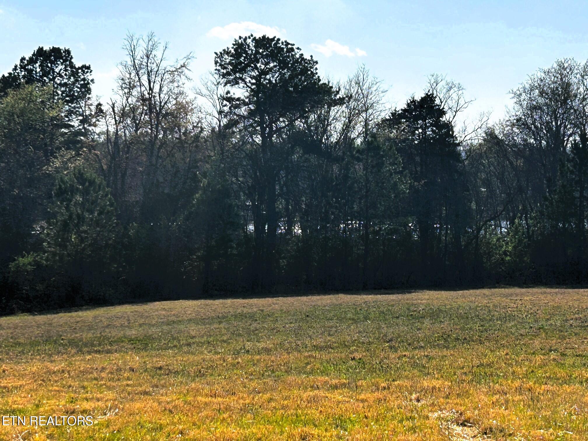 Lot 3 Lamontville Road Decatur TN 37322
