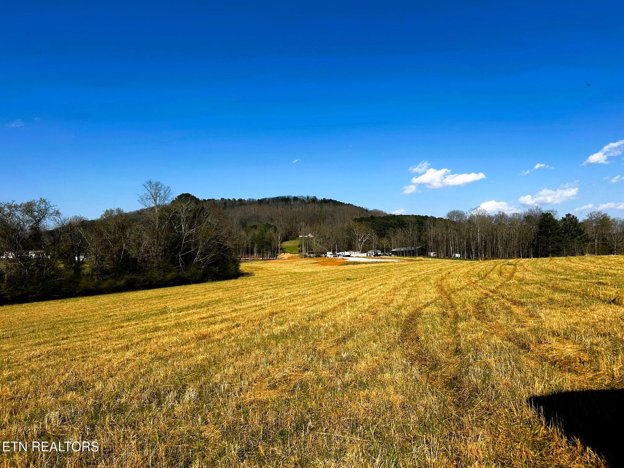 Lot 3 Lamontville Road Decatur TN 37322