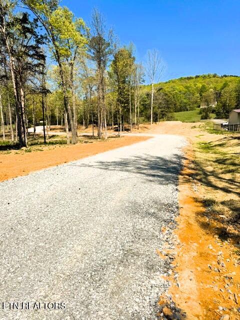 Lot 3 Lamontville Road Decatur TN 37322