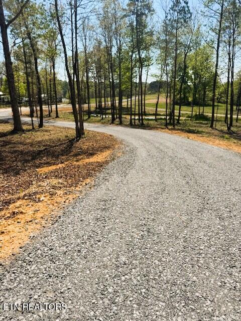 Lot 3 Lamontville Road Decatur TN 37322