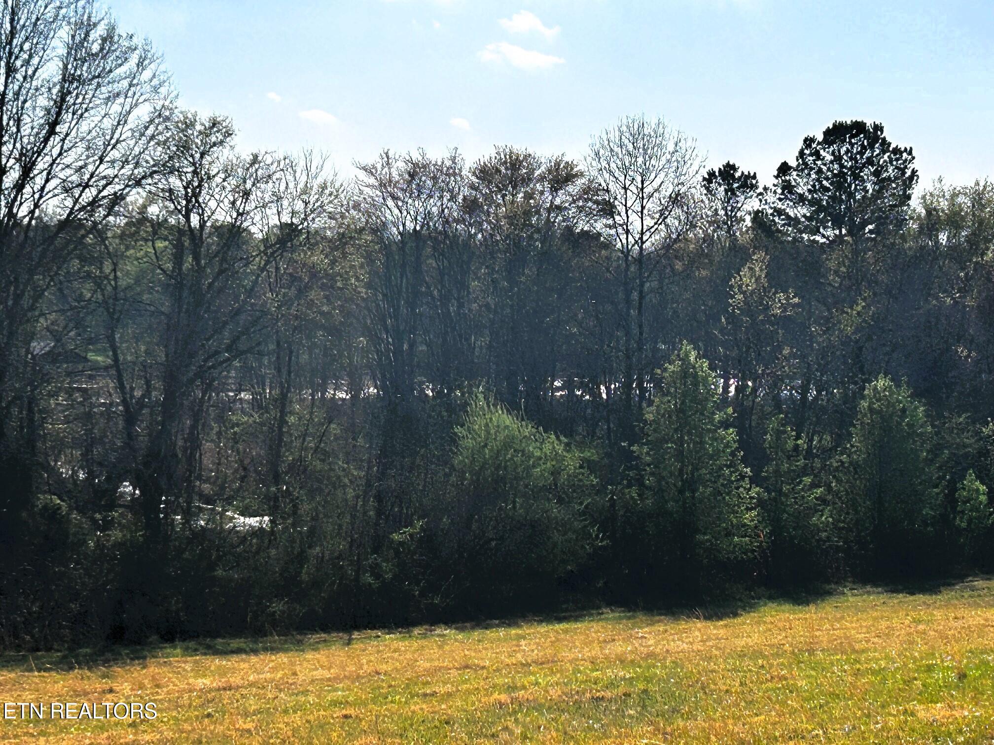 Lot 3 Lamontville Road Decatur TN 37322