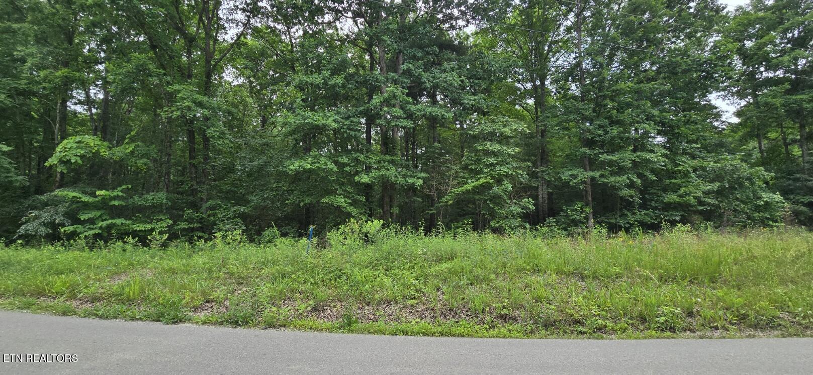 Lot 48-49 Bear Creek Road Winfield TN 37892