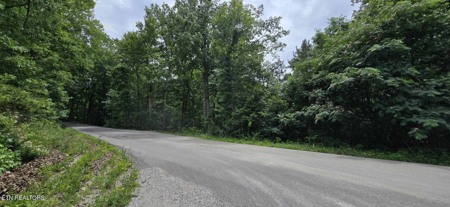 Lot 48-49 Bear Creek Road Winfield TN 37892