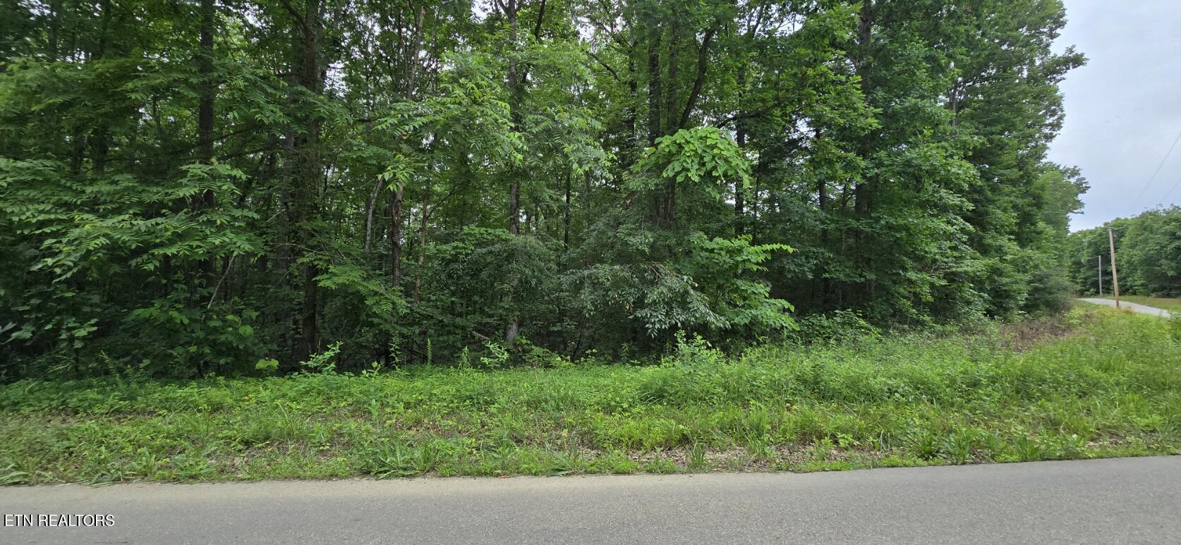 Lot 48-49 Bear Creek Road Winfield TN 37892