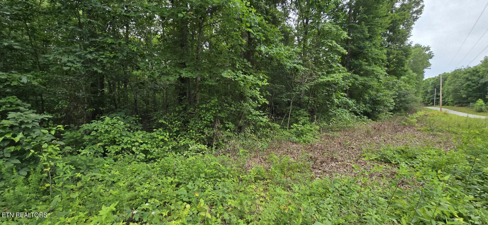Lot 48-49 Bear Creek Road Winfield TN 37892