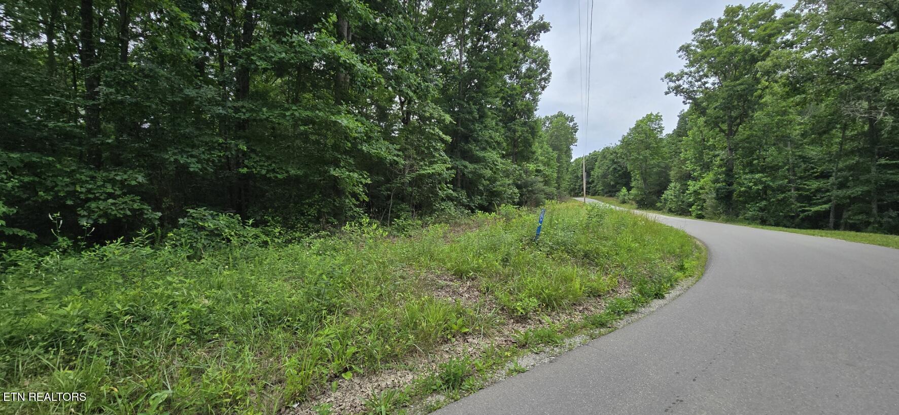 Lot 48-49 Bear Creek Road Winfield TN 37892