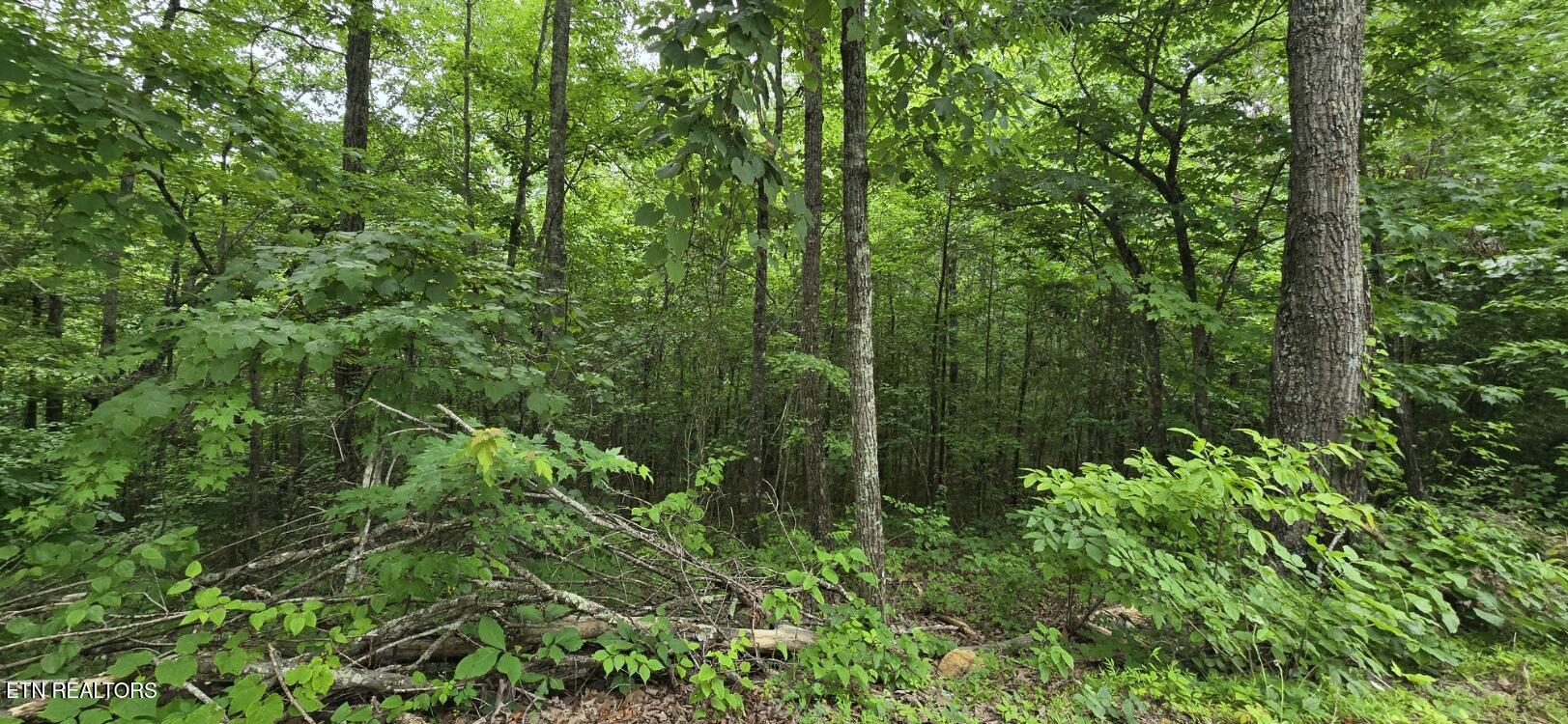 Lot 48-49 Bear Creek Road Winfield TN 37892