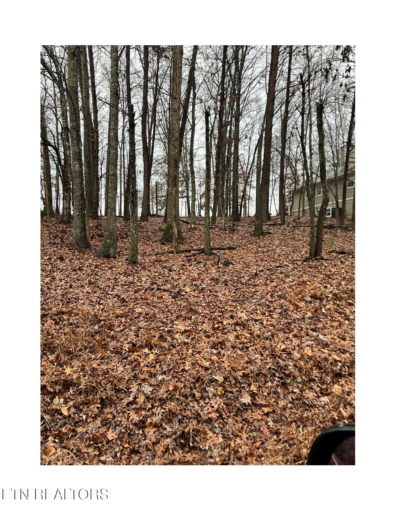 16 Berkeley Crossville TN 38558